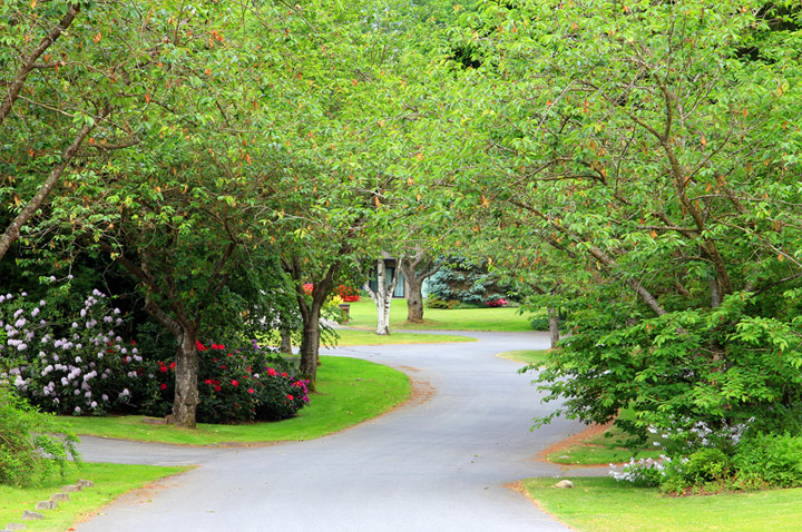 Strategic Landscape Solutions