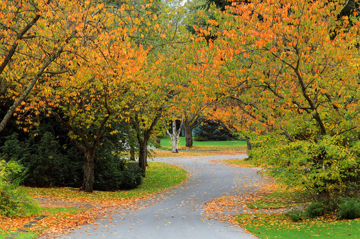 Strategic Landscape Solutions