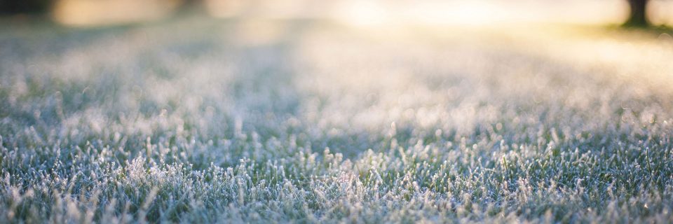 Our team has the right tools
for snow and ice removal.