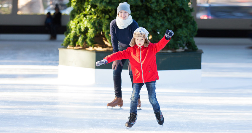 Strategic Landscape Solutions Ice Removal