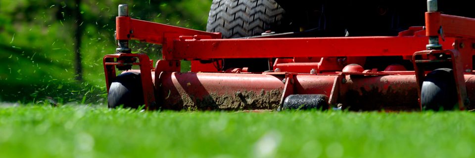 Your landscape the way it should be.